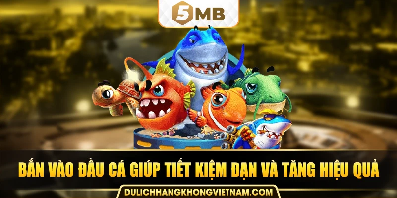 Bắn vào đầu cá giúp tiết kiệm đạn và tăng hiệu quả.