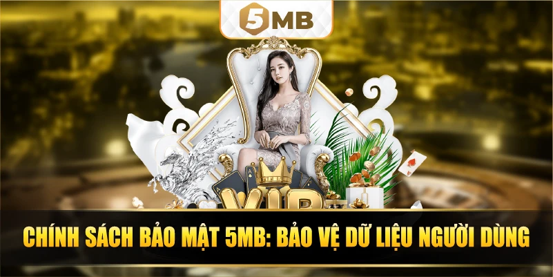 Chính sách bảo mật 5MB: Bảo vệ dữ liệu người dùng