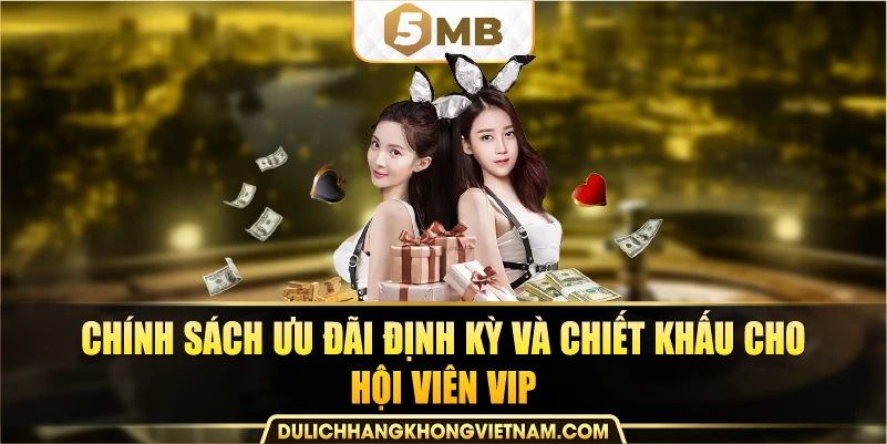 Chính sách ưu đãi định kỳ và chiết khấu cho hội viên VIP