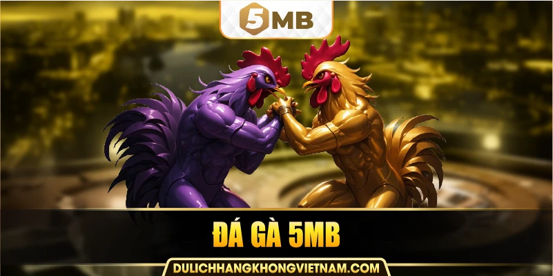 Đá gà 5MB