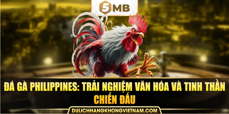 Đá gà Philippines: Trải nghiệm văn hóa và tinh thần chiến đấu.
