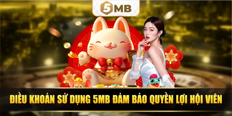 Điều khoản sử dụng 5MB đảm bảo quyền lợi hội viên.