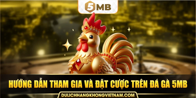 Hướng dẫn tham gia và đặt cược trên đá gà 5MB.