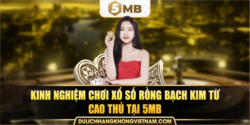 Kinh nghiệm chơi Xổ số Rồng Bạch Kim từ cao thủ tại 5MB