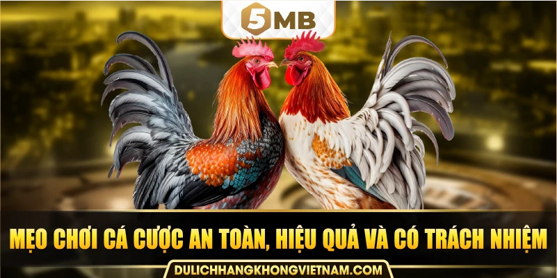 Mẹo chơi cá cược an toàn, hiệu quả và có trách nhiệm.