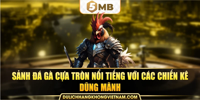 Sảnh đá gà cựa tròn nổi tiếng với các chiến kê dũng mãnh.