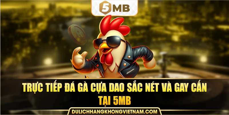Trực tiếp đá gà cựa dao sắc nét và gay cấn tại 5MB.