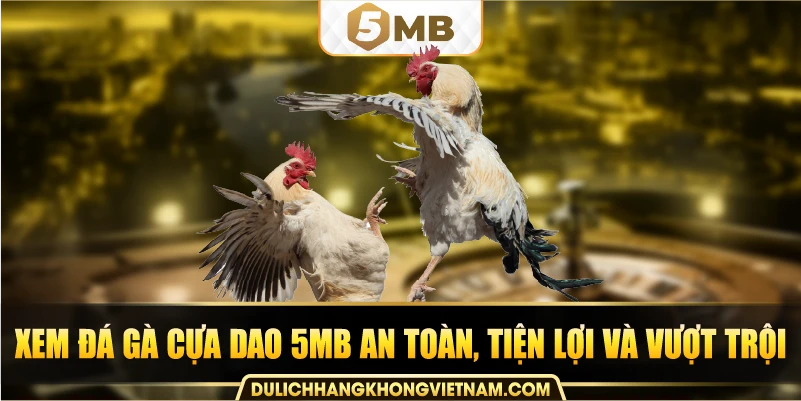 Xem đá gà cựa dao 5MB an toàn, tiện lợi và vượt trội.